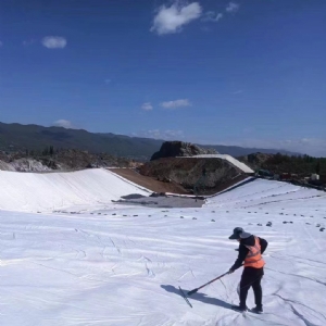 土工膜泄漏检测仪现场案例